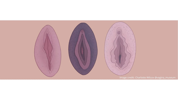 Do you moisturise your vulva and vagina?