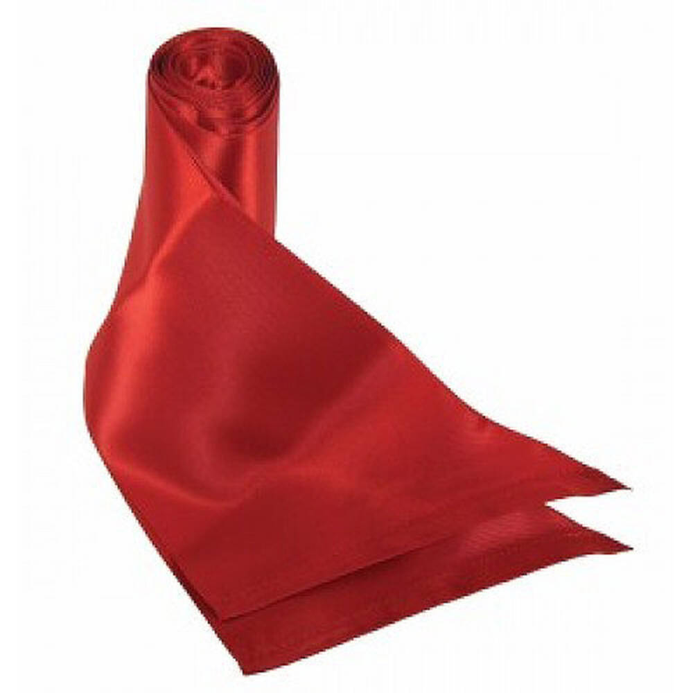 Sex And Mischief Silky Sash Restraints